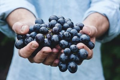 Pourquoi peut-il être rentable d'investir dans des bouteilles de vin ?